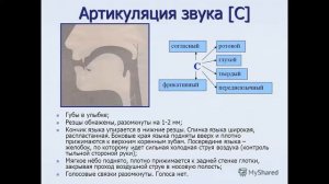 Логопед Правильная артикуляция звука С. Положение губ и языка. Воздушная струя.
