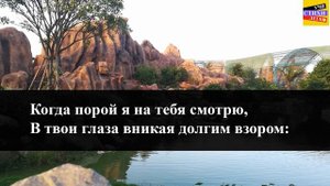 М.Ю. Лермонтов "Нет, не тебя так пылко я люблю" |Учи стихи легко|Караоке| Аудио Стихи Слушать Онлай