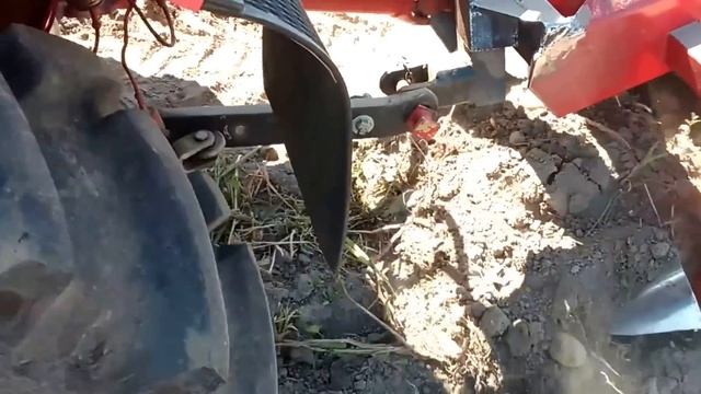 Однорядная транспортерная картофелекопалка «WIRAX» (Польша)