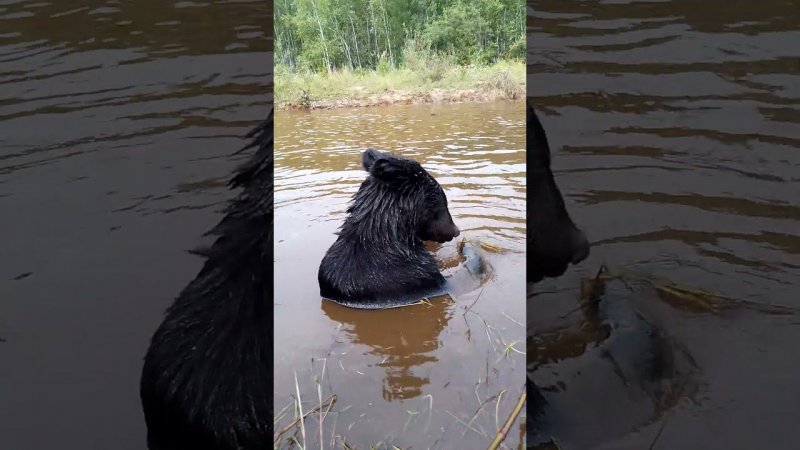 Дуся занимается хозяйственными делами.