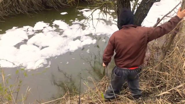Карась, ловлю на ручье!!! смотреть онлайн
