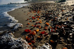 Энергетическая защита - свойства тканей, металлов, камней, трав. #энергетика