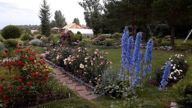 ✿➽ Дело было вечером... июль 2019 смотреть онлайн