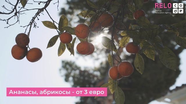 Жизнь в Испании I Какие траты ждут каждого в Испании? Стоимость жизни в Испании после переезда? смотреть онлайн