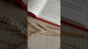 Хорошие девочки отправляются на небеса, а плохие  - куда захотят... Уте Эрдхарт.