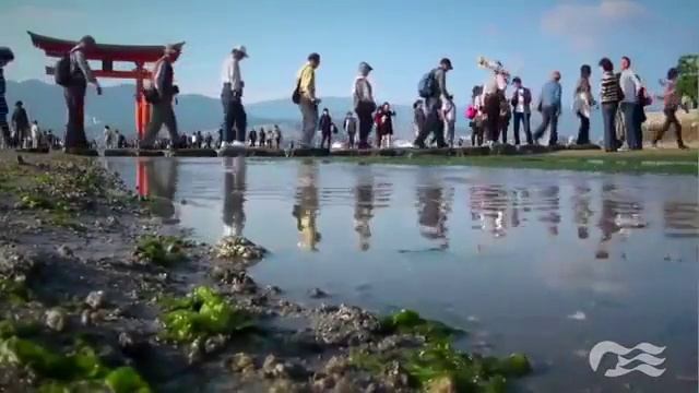 Круиз Regal Princess - Азия смотреть онлайн