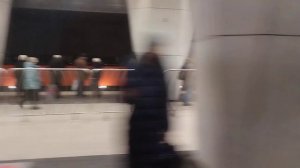 Большая Кольцевая линия (Line 11). От Рижской до Рижской по часовой стрелке.