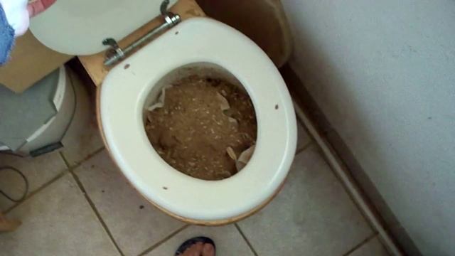 Биотуалет без воды, без запаха! Waterless urinal low flow toilets compost bins смотреть онлайн