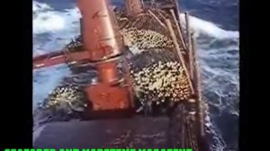 Теория судна - Остойчивость - 10 тыс.м2 леса за борт!