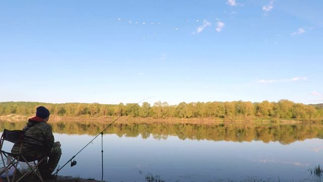 15 белых лебедей пролетели клином над Окой смотреть онлайн
