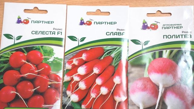 РЕДИС, КОТОРЫЙ ТОЧНО ВЫРАСТИТ!  ЛУЧШИЕ СОРТА