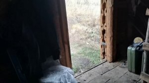 Сею озимую петрушку
