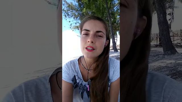 Урок 31. Условные предложения во французском языке. Три типа si смотреть онлайн