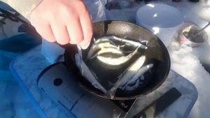 Небольшой но очень вкусный перекус на рыбалке о. Кунашир