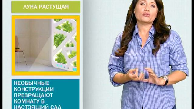 Дачный прогноз на 18 сентября 2013 смотреть онлайн