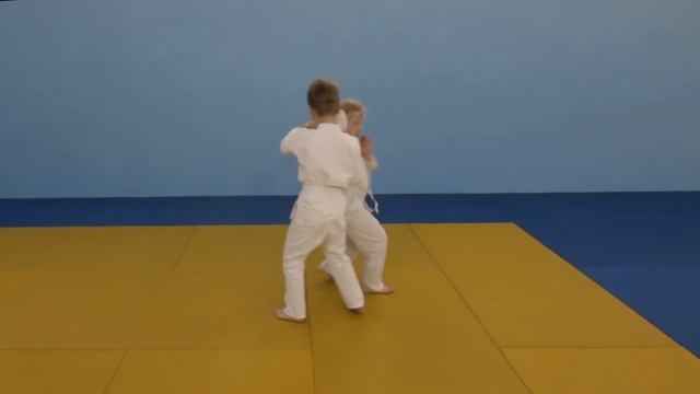 2017 Техника айкидо в Ставрополе "Тантодори". смотреть онлайн