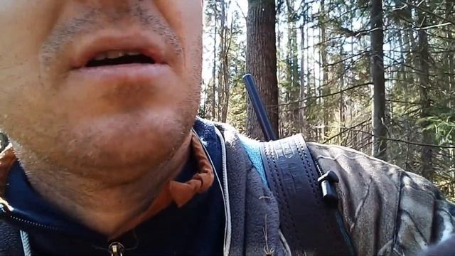 Охота на лося с подхода по чернотропу.Рябчики потеряли страх.Moose Hunting.