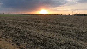 Дискование стерни.