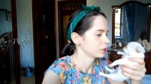 VLOG: Мака смотрит телевизор / О прививках Пилоту / Испуганный голубь