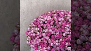 301 кустовая пионовидная роза Мисти Бабблс и Лавендер Бабблс в корзине