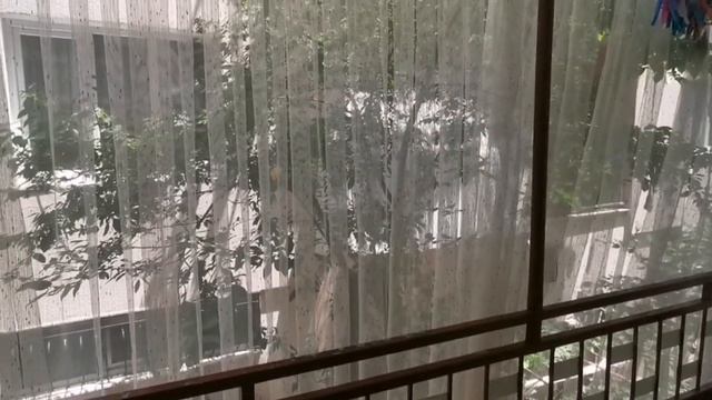 Классический турецкий дом на всю семью. Где живёт свекровь. Старый сундук, салфетки и газовая печь. смотреть онлайн