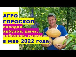 Агрогороскоп посева семян арбузов, кабачков, дынь, тыквы на рассаду и в открытый грунт в мае 2022