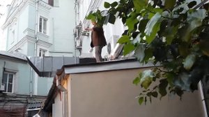 Театр у Никитских ворот