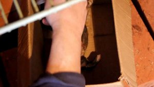 Реанимация щенка