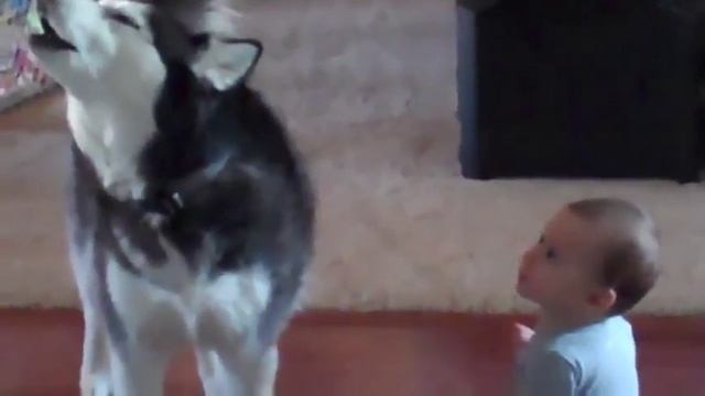 Собака и ребенок разговаривают и понимают друг друга смотреть онлайн