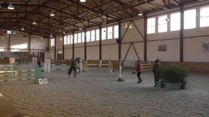 Лошадь любит прыгать! И всадник не нужен!