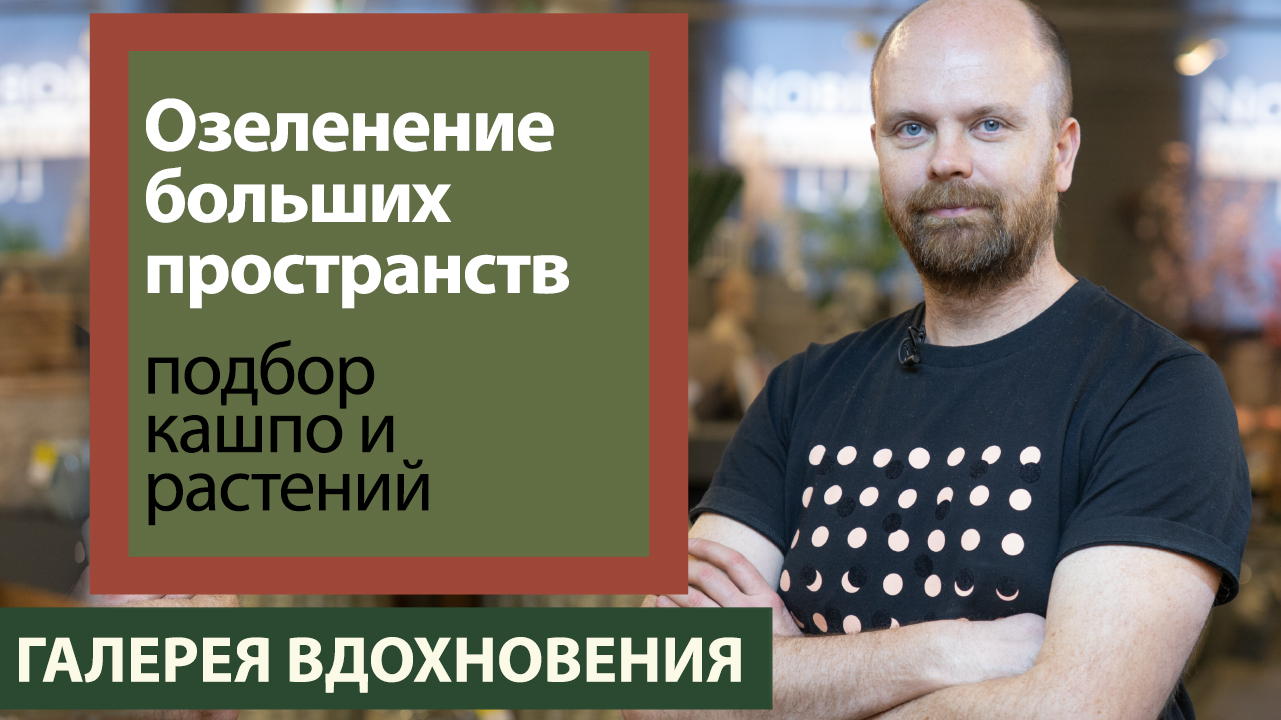 Озеленение больших пространств. Подбор кашпо и растений. Фитодизайнер Михаил Глазков