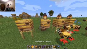 Как разводить пчел? ➤ Minecraft 1.16