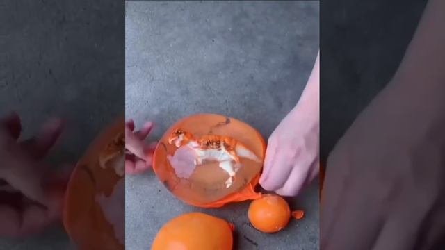 Занятия с ребенком