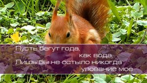 Аванна. Милость