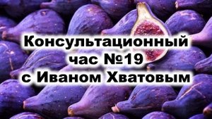 Консультационный час 19 (26 мая 2023)