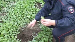 Мама пишет письмо сыну в тюрьму  Его ответ ошарашил всех…