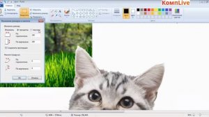 Как убрать фон в Paint, как вставить картинку в картинку