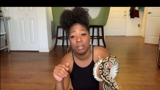 4 NEW SNAKE PICKUPS | WORLDS FIRST | SNAKE ART BY AKMORPHS | BALL PYTHON BREEDING | PRECIOUS PYTHON смотреть онлайн