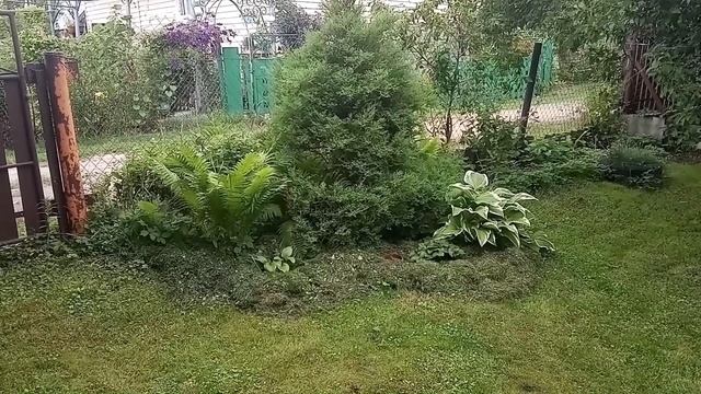 Запущенный участок: Создаю новые цветники