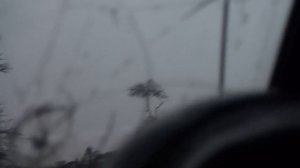 Охота гиен за бабуинами