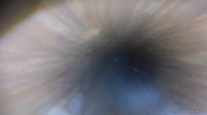 Скважина на воду 15 метров вид изнутри В хорошем качестве. Опускаем камеру в скважину.