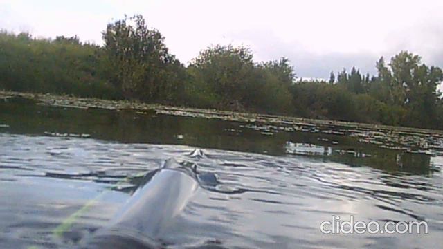 Подводная охота в мутнике смотреть онлайн