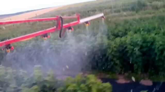 Батькив сад Череночник смородины промышленных сортов смотреть онлайн