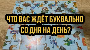 💰ЧТО ВАС ЖДЁТ БУКВАЛЬНО СО ДНЯ НА ДЕНЬ⁉️гадание пасьянс Tarot Reading