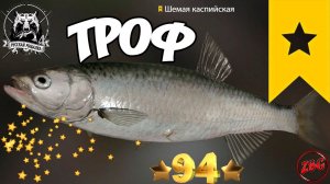 ШЕМАЯ КАСПИЙСКАЯ ТРОФ  р. АХТУБА ⭐ РУССКАЯ РЫБАЛКА 4 |  RUSSIAN FISHING 4@Z-B-G