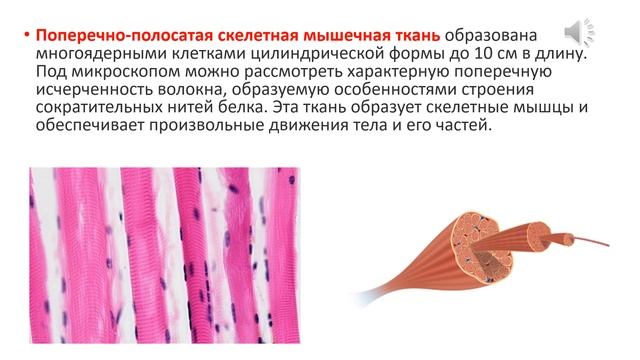 Ткани