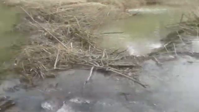 МЧСовский домик для заблудившихся туристов