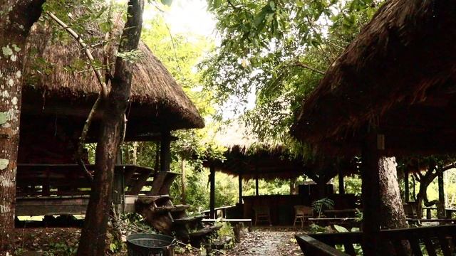 Cambodia, Motorcycles & biggest waterfall in Southeast Asia! a day in Don Det (Si Phan Don) Laos смотреть онлайн