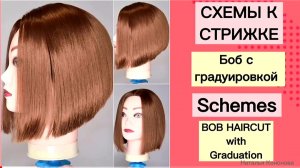 Схемы к стрижке ГРАДУИРОВАННЫЙ БОБ_Haircut  Bob_ Hair Tutorial.mp4