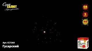 Батарея салютов Гусарский (49/0,8) СС7265